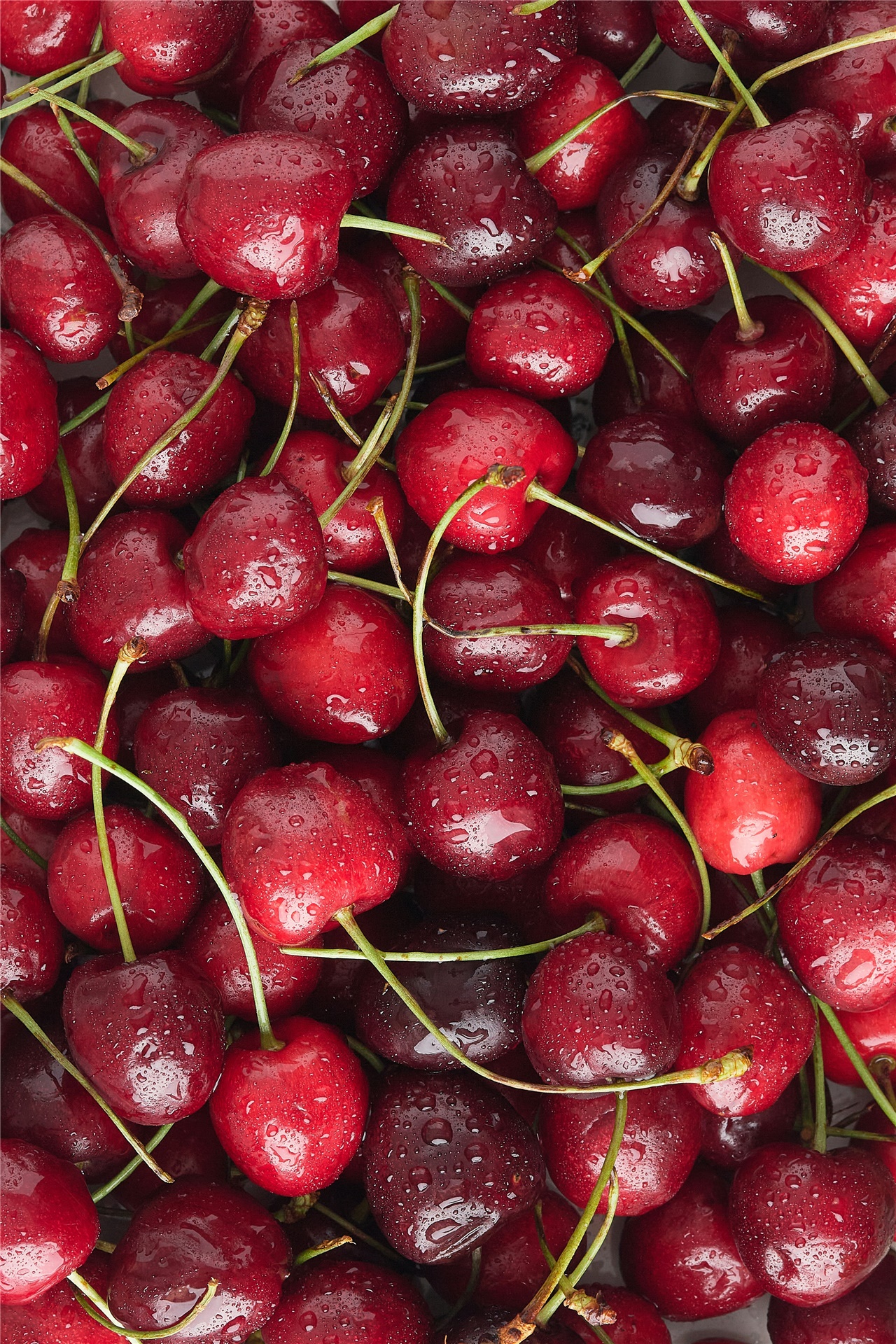 Cerises