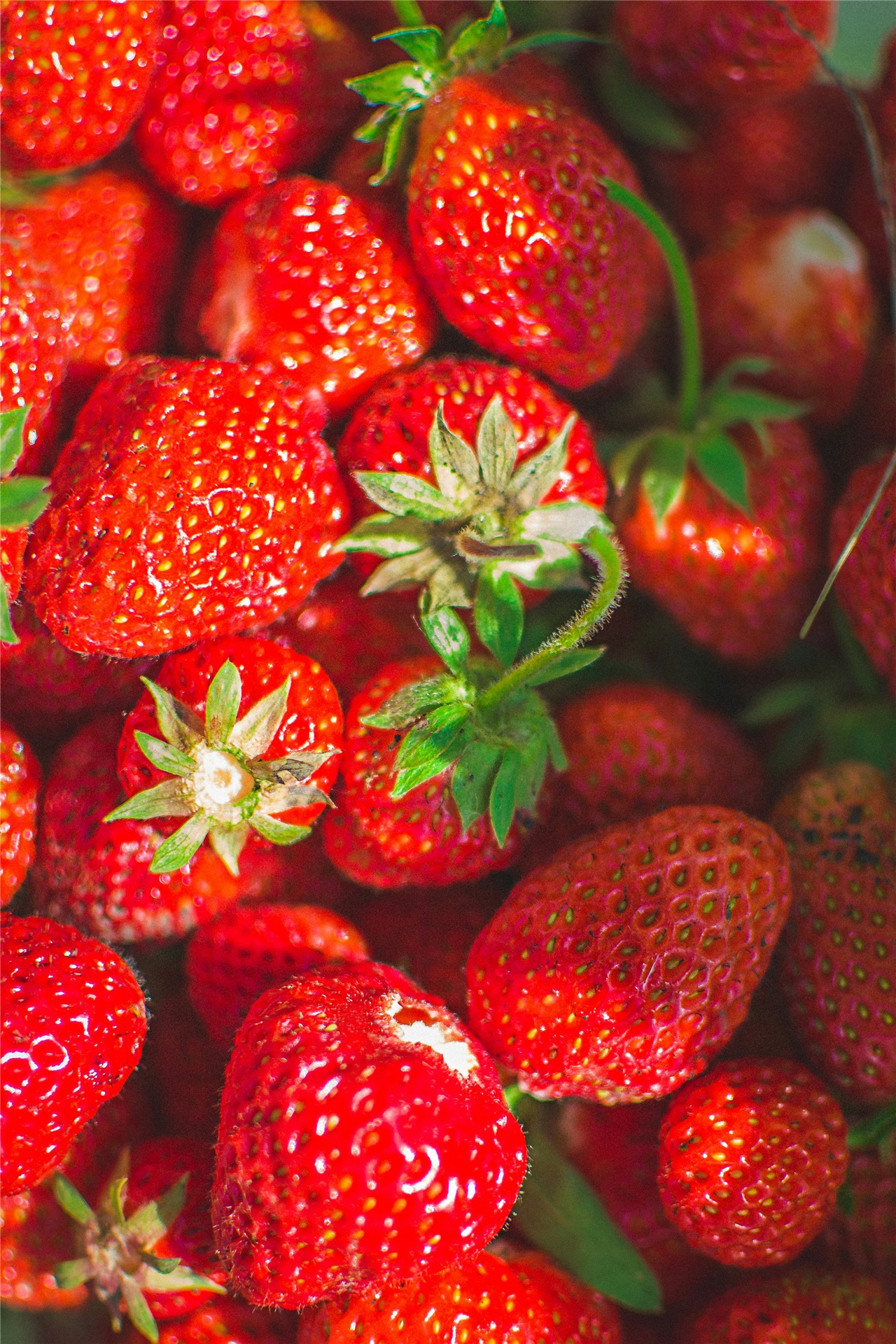Fraises d'été