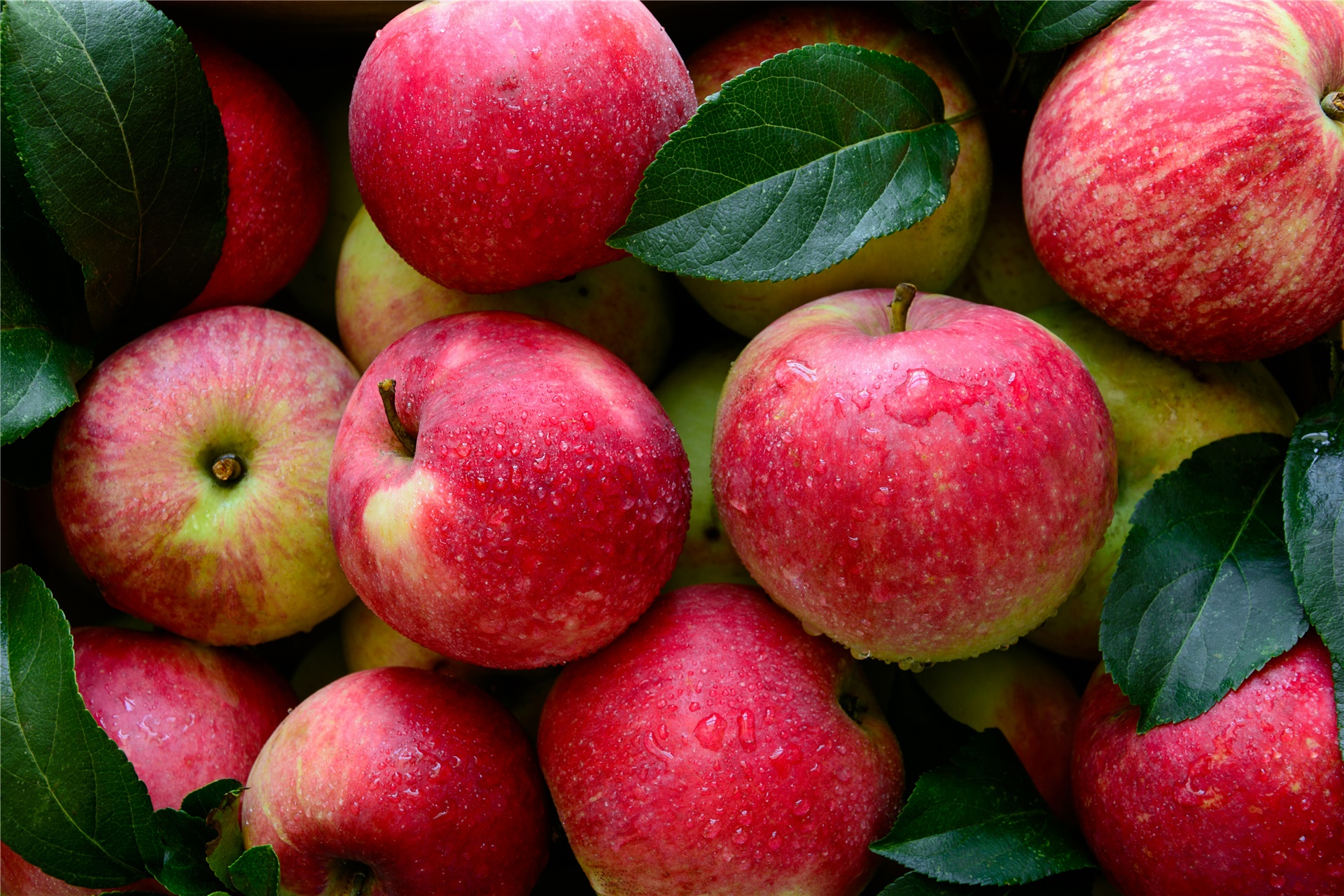 Pommes